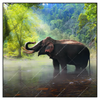 Led Wandbild Elefant Im Wasser Quadrat Produktvorschau Frontal