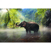 Led Wandbild Elefant Im Wasser Querformat Motivvorschau