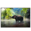 Led Wandbild Elefant Im Wasser Querformat Produktvorschau Frontal