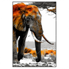Led Wandbild Elefant Kraft Der Wildnis Hochformat Produktvorschau Frontal