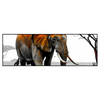 Led Wandbild Elefant Kraft Der Wildnis Panorama Produktvorschau Frontal