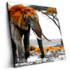 Led Wandbild Elefant Kraft Der Wildnis Quadrat Produktvorschau Seitlich