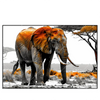 Led Wandbild Elefant Kraft Der Wildnis Querformat Produktvorschau Frontal