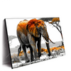 Led Wandbild Elefant Kraft Der Wildnis Querformat Produktvorschau Seitlich
