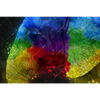 Led Wandbild Elefant Pop Art No 1 Querformat Motivvorschau