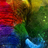 Led Wandbild Elefant Pop Art No 2 Querformat Zoom