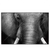 Led Wandbild Elefant Schwarzweiss Querformat Produktvorschau Frontal