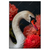 Led Wandbild Eleganter Schwan Mit Blumen Hochformat Produktvorschau Frontal