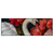 Led Wandbild Eleganter Schwan Mit Blumen Panorama Produktvorschau Frontal