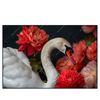 Led Wandbild Eleganter Schwan Mit Blumen Querformat Produktvorschau Frontal