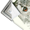 Led Wandbild Eule Wald No 1 Querformat Materialvorschau