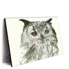 Led Wandbild Eule Wald No 1 Querformat Produktvorschau Seitlich