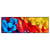 Led Wandbild Farbe Im Wasser Bunt Panorama Produktvorschau Frontal