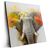Led Wandbild Farbenexplosion Mit Elefant Quadrat Produktvorschau Seitlich