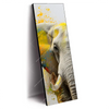 Led Wandbild Farbenexplosion Mit Elefant Schmal Produktvorschau Seitlich