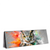 Led Wandbild Farbenexplosion Mit Eule Panorama Produktvorschau Seitlich