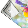 Led Wandbild Farbenfrohe Fruehlingsblueten Querformat Materialvorschau