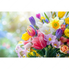 Led Wandbild Farbenfrohe Fruehlingsblueten Querformat Motivvorschau