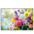 Led Wandbild Farbenfrohe Fruehlingsblueten Querformat Produktvorschau Frontal