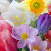 Led Wandbild Farbenfrohe Fruehlingsblueten Querformat Zoom