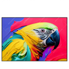 Led Wandbild Federn Papagei Querformat Produktvorschau Frontal