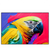 Led Wandbild Federn Papagei Querformat Produktvorschau Frontal