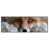 Led Wandbild Friedlicher Fuchs Und Blumen Panorama Produktvorschau Frontal