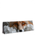 Led Wandbild Friedlicher Fuchs Und Blumen Panorama Produktvorschau Seitlich