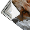 Led Wandbild Friedlicher Fuchs Und Blumen Querformat Materialvorschau