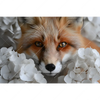Led Wandbild Friedlicher Fuchs Und Blumen Querformat Motivvorschau