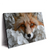 Led Wandbild Friedlicher Fuchs Und Blumen Querformat Produktvorschau Seitlich
