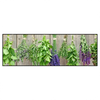 Led Wandbild Frische Kraeuter An Holzstange Panorama Produktvorschau Frontal