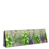 Led Wandbild Frische Kraeuter An Holzstange Panorama Produktvorschau Seitlich