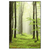 Led Wandbild Fruehling Im Buchenwald Hochformat Produktvorschau Frontal