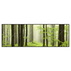 Led Wandbild Fruehling Im Buchenwald Panorama Produktvorschau Frontal