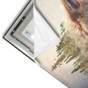 Led Wandbild Fuchs Wald Querformat Materialvorschau