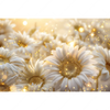 Led Wandbild Funkelnde Blumen In Gold Querformat Motivvorschau