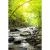 Led Wandbild Gebirgsfluss Im Wald Hochformat Motivvorschau
