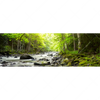 Led Wandbild Gebirgsfluss Im Wald Panorama Motivvorschau