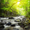 Led Wandbild Gebirgsfluss Im Wald Quadrat Motivvorschau