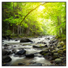 Led Wandbild Gebirgsfluss Im Wald Quadrat Produktvorschau Frontal