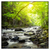 Led Wandbild Gebirgsfluss Im Wald Quadrat Produktvorschau Frontal