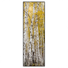 Led Wandbild Gelber Birkenwald Schmal Produktvorschau Frontal