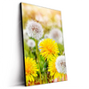 Led Wandbild Gelber Loewenzahn Hochformat Produktvorschau Seitlich