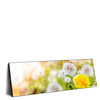 Led Wandbild Gelber Loewenzahn Panorama Produktvorschau Seitlich