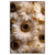 Led Wandbild Goldene Bluetenpracht Hochformat Produktvorschau Frontal