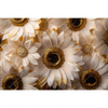Led Wandbild Goldene Bluetenpracht Querformat Motivvorschau