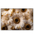 Led Wandbild Goldene Bluetenpracht Querformat Produktvorschau Frontal