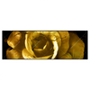 Led Wandbild Goldene Rose Panorama Produktvorschau Frontal