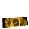 Led Wandbild Goldene Rose Panorama Produktvorschau Seitlich